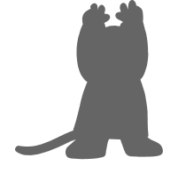 Shadow 3